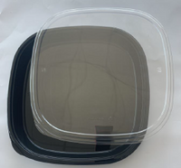 Restaurant Wholesale Disposable Party Trays Large (PET) 14.1x14.1x2 (100 Sets)